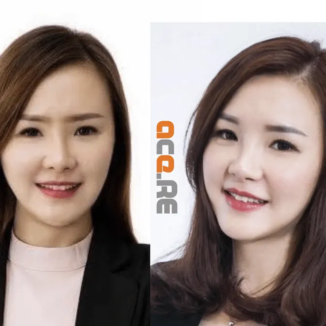 Property Agent Criteria