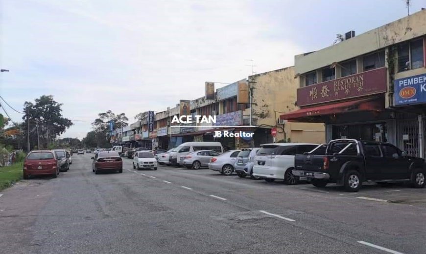 Tun Aminah, Skudai