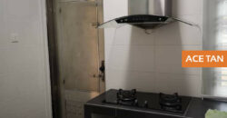 Seri Austin – 2 Storey Corner Terrace House – FOR SALE Seri Austin – 2 Storey Corner Terrace House – FOR SALE