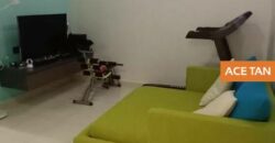 Seri Austin – 2 Storey Terrace House – FOR SALE Seri Austin – 2 Storey Terrace House – FOR SALE