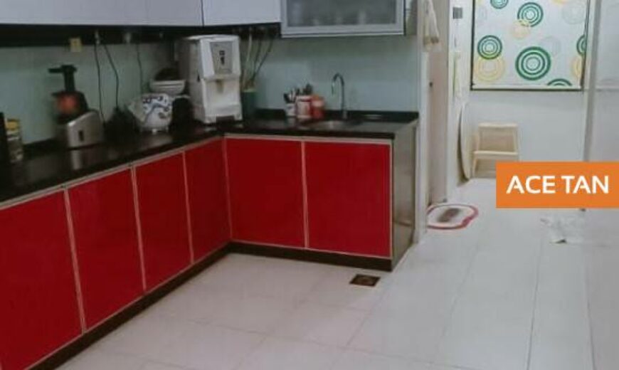 Seri Austin – 2 Storey Terrace House – FOR SALE Seri Austin – 2 Storey Terrace House – FOR SALE