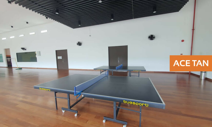 Danga Sutera – 2 Storey SuperLink House – FOR SALE Danga Sutera – 2 Storey SuperLink House – FOR SALE