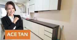 Setia Tropika – 2 Storey End Lot Cluster House – FOR SALE Setia Tropika – 2 Storey End Lot Cluster House – FOR SALE