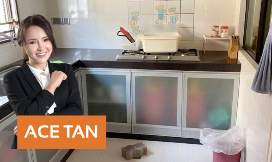 Impian Emas – 2.5 Storey Terrace House – FOR SALE Impian Emas – 2.5 Storey Terrace House – FOR SALE