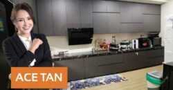 Seri Austin – 2 Storey Semi Detached House – FOR SALE Seri Austin – 2 Storey Semi Detached House – FOR SALE