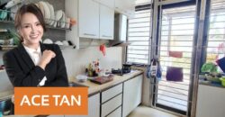 The Straits View Residences @ Permas Jaya – 2 Storey Semi Detached – FOR SALE The Straits View Residences @ Permas Jaya – 2 Storey Semi Detached – FOR SALE