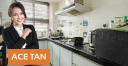 Setia Tropika – 2 Storey SuperLink House – FOR SALE Setia Tropika – 2 Storey SuperLink House – FOR SALE