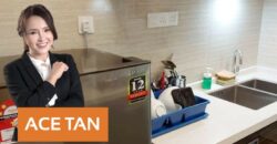 R&F Princess Cove – Serviced Residence – FOR SALE