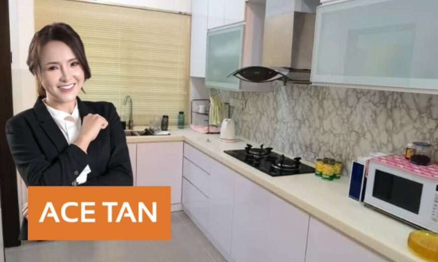 Seri Austin Hills – 2 Storey Terrace House – FOR SALE Seri Austin Hills – 2 Storey Terrace House – FOR SALE