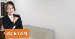 Seri Austin Hills – 2 Storey Terrace House – FOR SALE Seri Austin Hills – 2 Storey Terrace House – FOR SALE