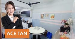 Bandar Baru Uda – 2 Storey Terrace House – FOR SALE Bandar Baru Uda – 2 Storey Terrace House – FOR SALE
