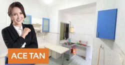 Bandar Pulai Jaya – Single Storey Terrace House – FOR SALE Bandar Pulai Jaya – Single Storey Terrace House – FOR SALE