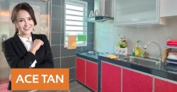 Seri Austin – 2 Storey Terrace House – FOR SALE Seri Austin – 2 Storey Terrace House – FOR SALE