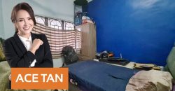 Taman Skudai Baru – Single Storey Terrace House – FOR SALE Taman Skudai Baru – Single Storey Terrace House – FOR SALE