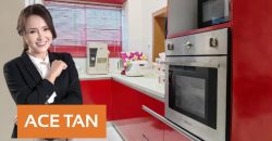 Setia Tropika – 2 Storey End Lot Terrace House – FOR SALE Setia Tropika – 2 Storey End Lot Terrace House – FOR SALE