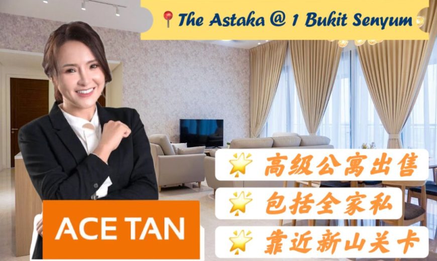 The Astaka @ 1 Bukit Senyum – Condominium – FOR SALE The Astaka @ 1 Bukit Senyum – Condominium – FOR SALE