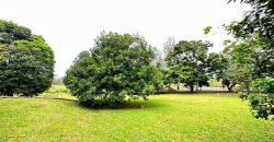 Leisure Farm @ Gelang Patah – 3 Storey Bungalow Villas – FOR SALE Leisure Farm @ Gelang Patah – 3 Storey Bungalow Villas – FOR SALE