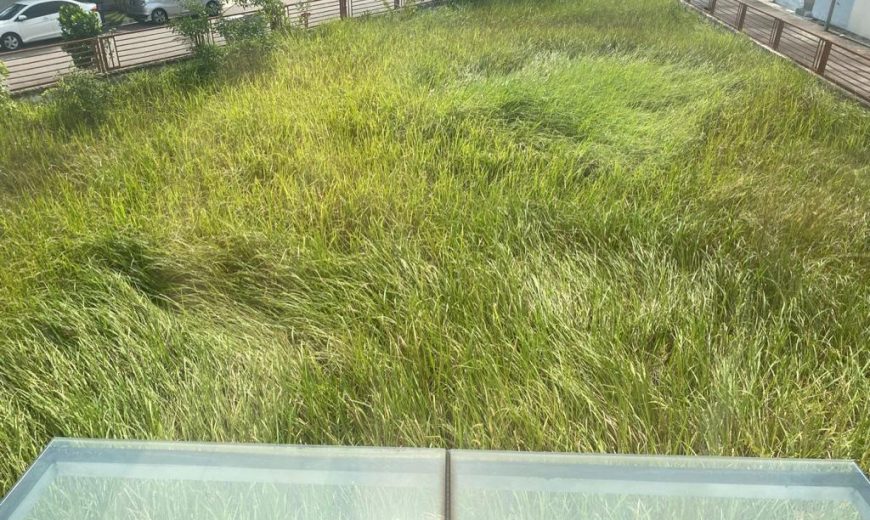 Ponderosa Green @ Taman Molek – 2 Storey Corner Terrace House – FOR SALE Ponderosa Green @ Taman Molek – 2 Storey Corner Terrace House – FOR SALE