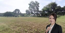 Leisure Farm – Bungalow Land – FOR SALE