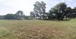 Leisure Farm – Bungalow Land – FOR SALE