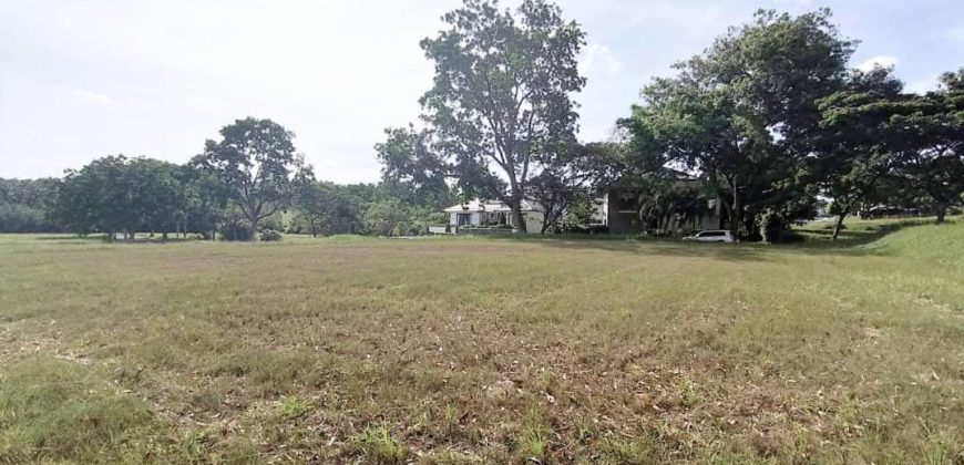 Leisure Farm – Bungalow Land – FOR SALE