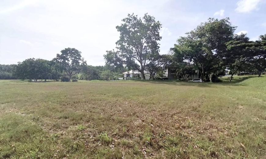 Leisure Farm – Bungalow Land – FOR SALE Leisure Farm – Bungalow Land – FOR SALE