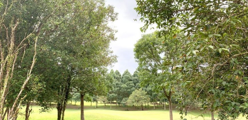 Impian Heights @ Impian Emas – Bungalow Land – FOR SALE Impian Heights @ Impian Emas – Bungalow Land – FOR SALE