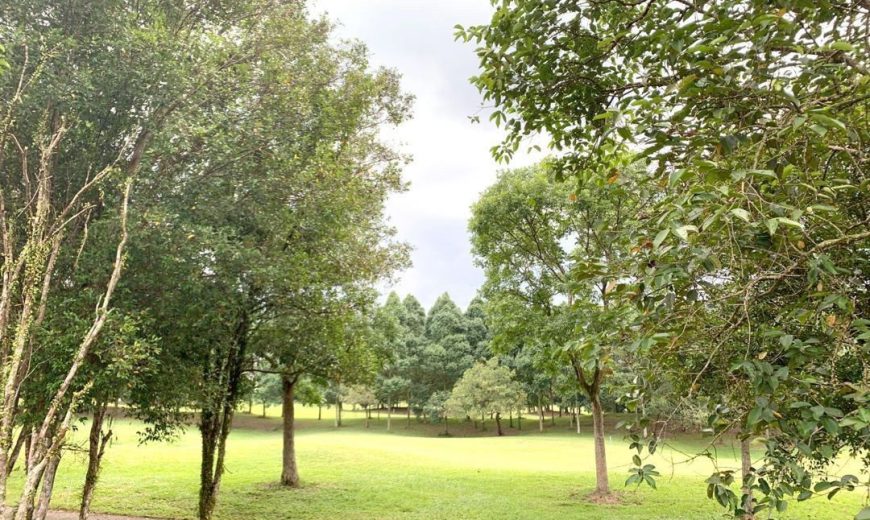 Impian Heights @ Impian Emas – Bungalow Land – FOR SALE Impian Heights @ Impian Emas – Bungalow Land – FOR SALE