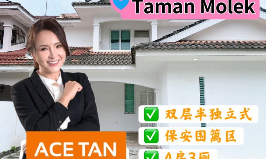 Taman Molek – 2 Storey Semi Detached House – FOR SALE Taman Molek – 2 Storey Semi Detached House – FOR SALE