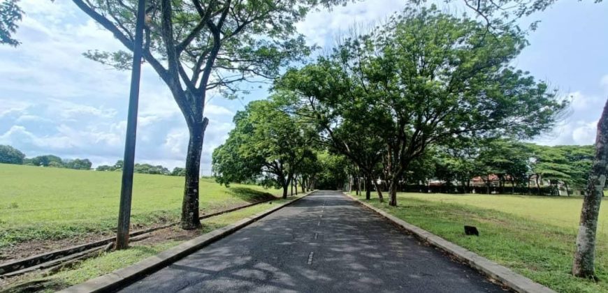 Leisure Farm – Bungalow Land – FOR SALE