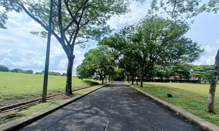 Leisure Farm – Bungalow Land – FOR SALE Leisure Farm – Bungalow Land – FOR SALE