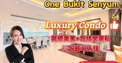 The Astaka @ One Bukit Senyum – Condominium – FOR SALE