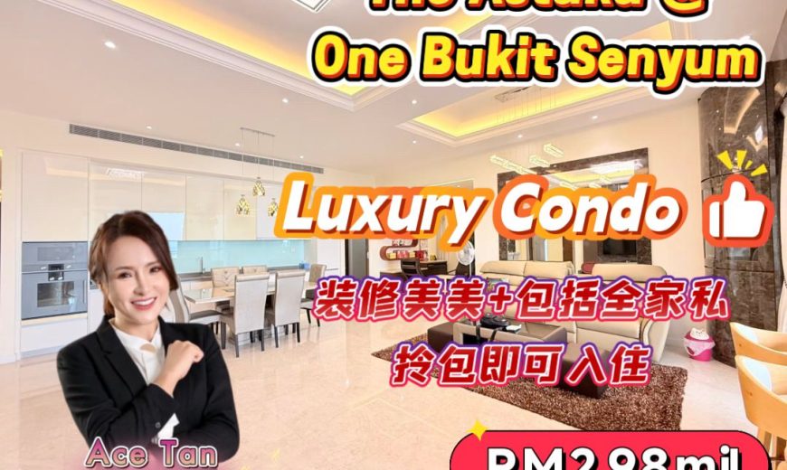 The Astaka @ One Bukit Senyum – Condominium – FOR SALE