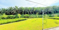 Bandar Cemerlang @ Ulu Tiram – 2 Storey Superlink House – FOR SALE