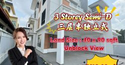 Taman Desa Tebrau – 3 Storey Semi Detached House – FOR SALE