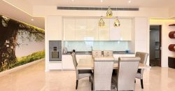 The Astaka @ One Bukit Senyum – Condominium – FOR RENT