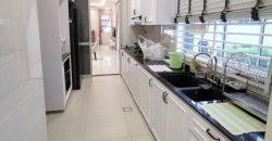 Eco Spring – 2.5 Storey Cluster House – FOR SALE